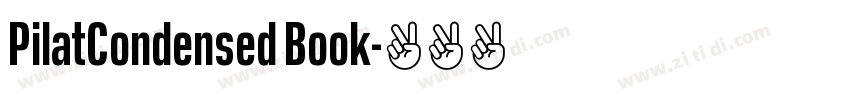 PilatCondensed Book字体转换